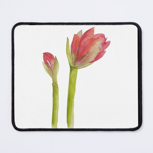Item preview, Amaryllis designed and sold by LisasPalette.