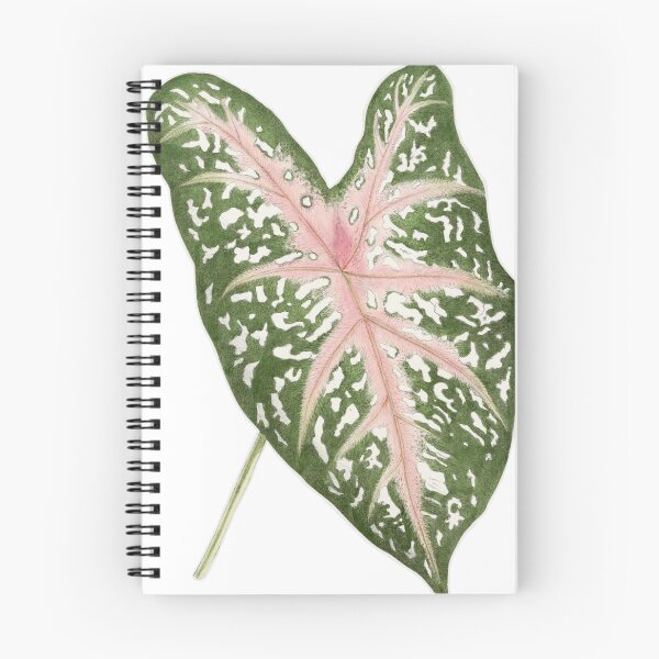 Item preview, Caladium Leaf designed and sold by emmadezine.