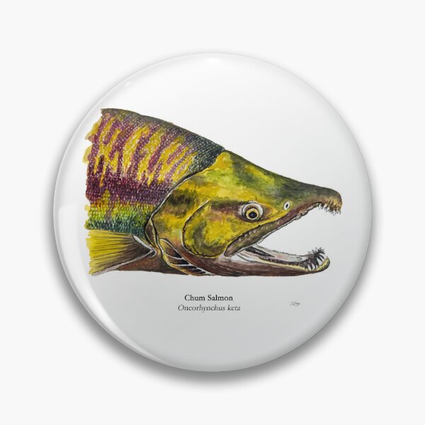 Item preview, Chum Salmon Painting designed and sold by Stephen Emms.