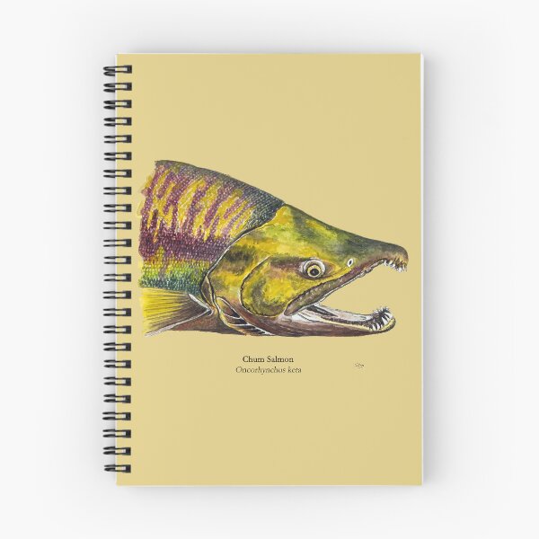 Item preview, Chum Salmon Painting designed and sold by Stephen Emms.