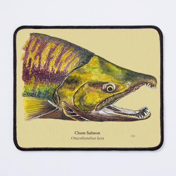 Item preview, Chum Salmon Painting designed and sold by Stephen Emms.