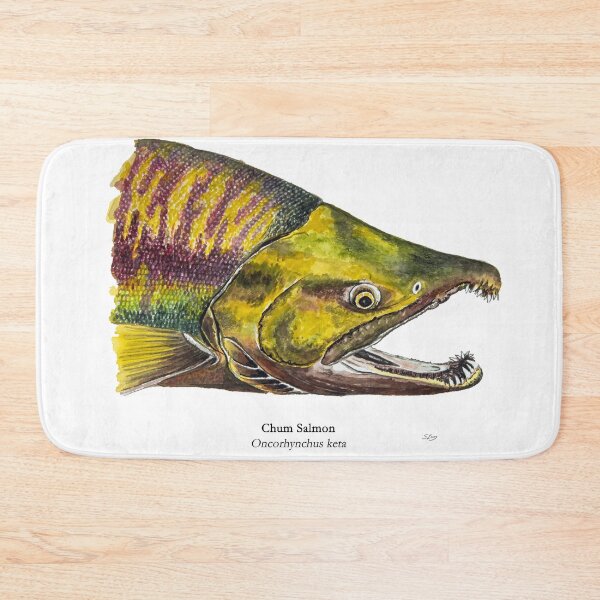 Item preview, Chum Salmon Painting designed and sold by Stephen Emms.