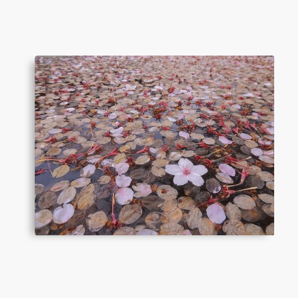 Item preview, The Last Cherry Blossom designed and sold by PeppaJackk.