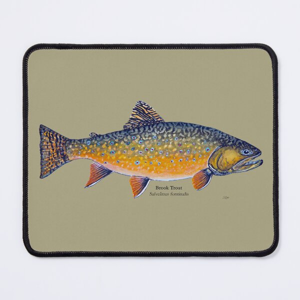 Item preview, Nipigon River Brook Trout Painting designed and sold by Stephen Emms.