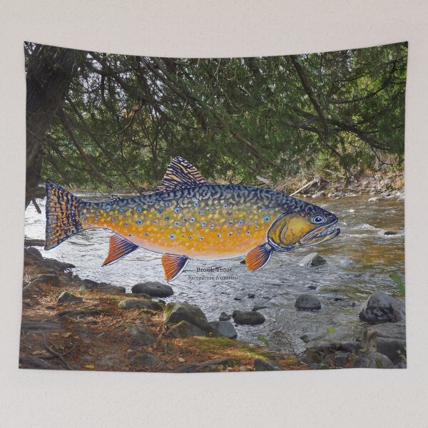 Artikelvorschau, Gemälde „Bachforelle“ am Nipigon River entworfen und verkauft von Stephen Emms.