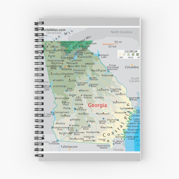 Item preview, Georgia Map – Cities, Rivers & Coastal Plain designed and sold by WorldAtlas.com.