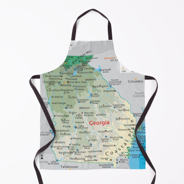 Item preview, Georgia Map – Cities, Rivers & Coastal Plain designed and sold by WorldAtlas.com.