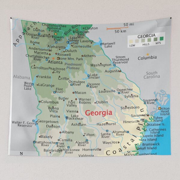 Item preview, Georgia Map – Cities, Rivers & Coastal Plain designed and sold by WorldAtlas.com.