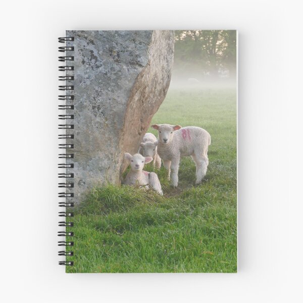 Item preview, Sheep and stone designed and sold by StoneBothering.