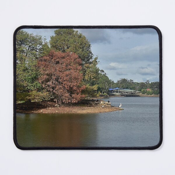 Item preview, Pelicans at Forest Lake on a Cloudy Summer Day designed and sold by Rees Pearse.