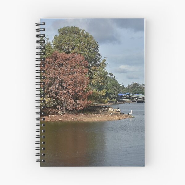 Item preview, Pelicans at Forest Lake on a Cloudy Summer Day designed and sold by Rees Pearse.