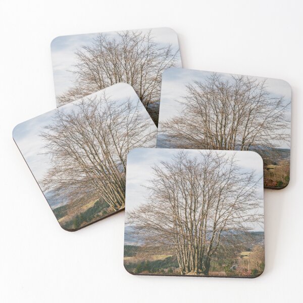 Item preview, Unique multi-trunk tree growing on a hillside designed and sold by alicjamiekina.