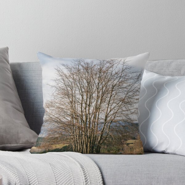 Item preview, Unique multi-trunk tree growing on a hillside designed and sold by alicjamiekina.