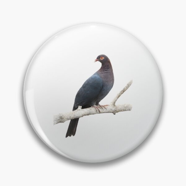 Item preview, Scaly-naped Pigeon (Patagioenas squamosa) designed and sold by HOMETOWN86.