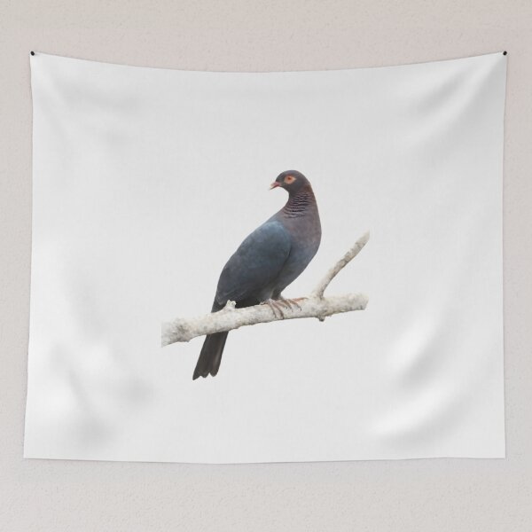 Item preview, Scaly-naped Pigeon (Patagioenas squamosa) designed and sold by HOMETOWN86.