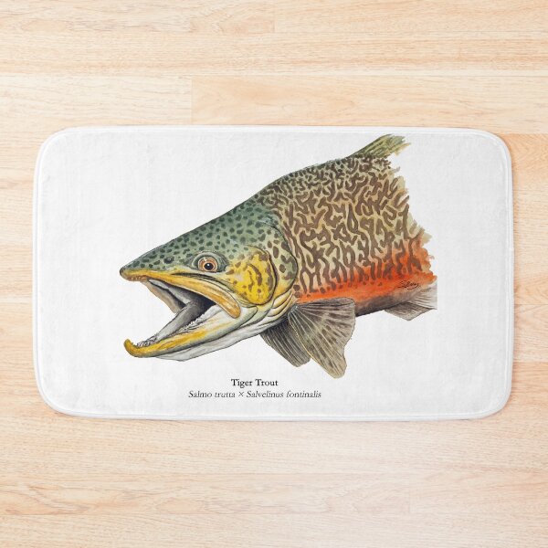 Item preview, Tiger Trout Painting designed and sold by Stephen Emms.