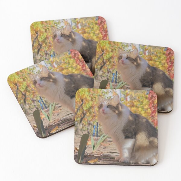 Item preview, Feline Beauty Among Fall Colors designed and sold by MB-CatPrints.