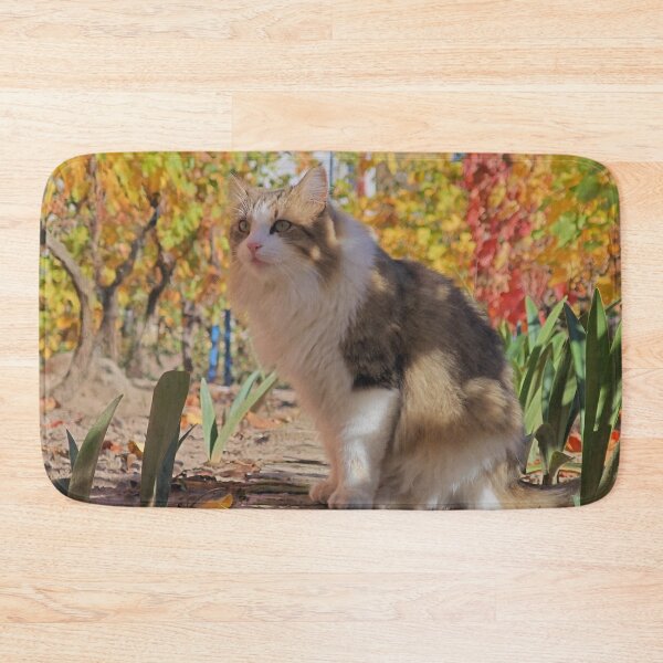 Item preview, Feline Beauty Among Fall Colors designed and sold by MB-CatPrints.
