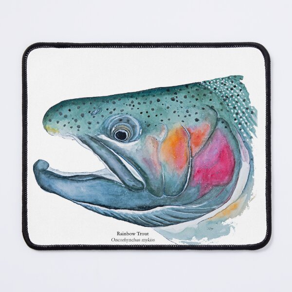 Item preview, Rainbow Trout Head Painting designed and sold by Stephen Emms.
