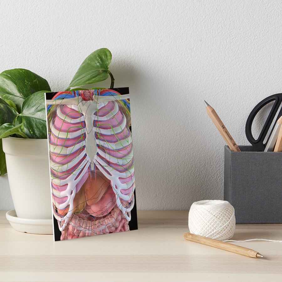 Item preview, Art Board Print designed and sold by Looplestons.