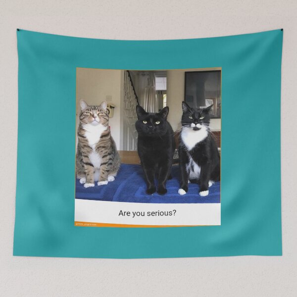 Item preview, Purrrrrrrrrrrr....!! designed and sold by creativityen.