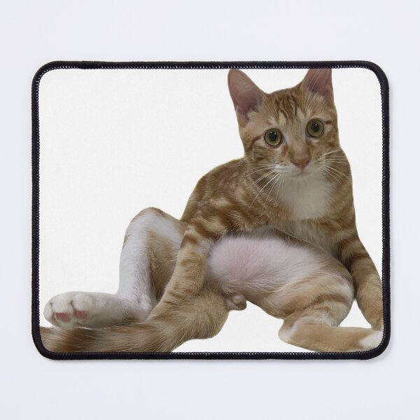 Item preview, Sitting like an unemployed man designed and sold by sheungwai0509.