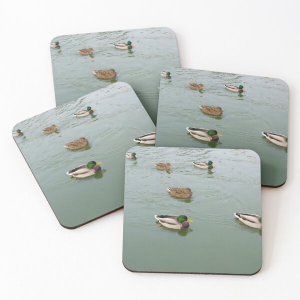Item preview, Ducks on the pond designed and sold by GingaDesigns.