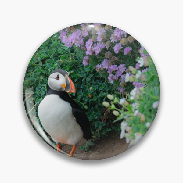 Item preview, Puffin, Saltee Island, County Wexford, Ireland designed and sold by AndrewJonesFoto.