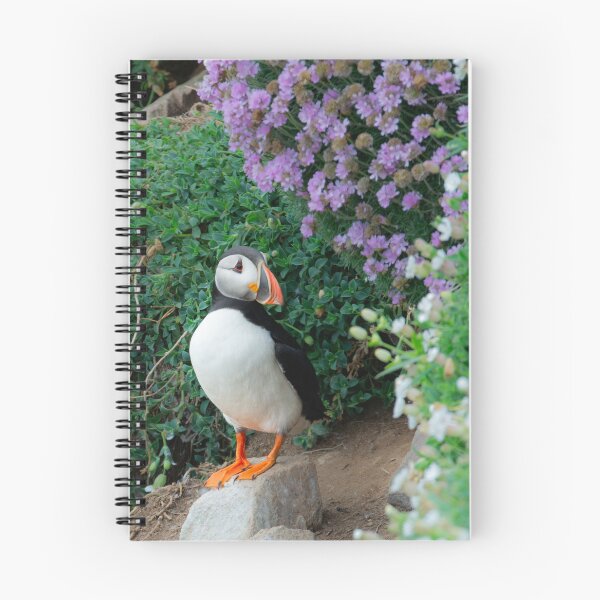 Item preview, Puffin, Saltee Island, County Wexford, Ireland designed and sold by AndrewJonesFoto.
