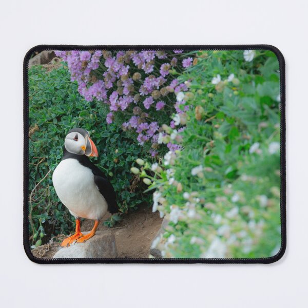 Item preview, Puffin, Saltee Island, County Wexford, Ireland designed and sold by AndrewJonesFoto.