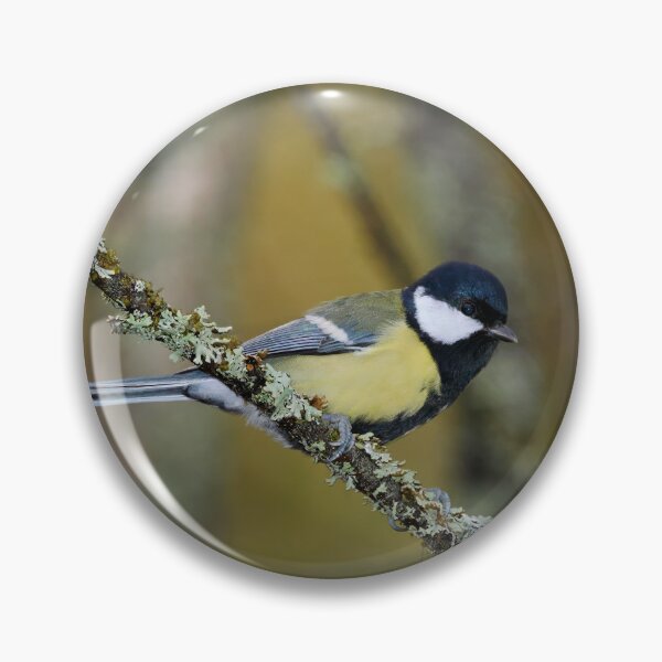 Item preview, Yellows. Great tit 2025 designed and sold by Jouko Lehto Photography.