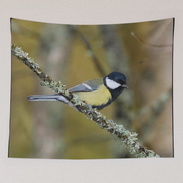 Item preview, Yellows. Great tit 2025 designed and sold by Jouko Lehto Photography.