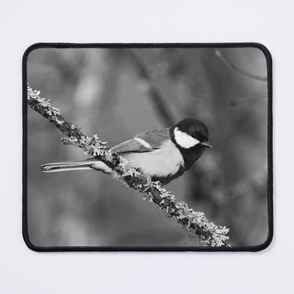 Item preview, Yellows. Great tit 2025 bw designed and sold by Jouko Lehto Photography.