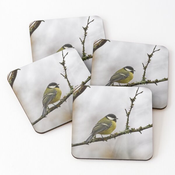 Item preview, Waiting the next summer. Great tit 2025 designed and sold by Jouko Lehto Photography.