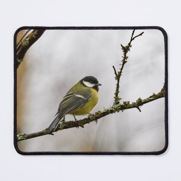 Item preview, Waiting the next summer. Great tit 2025 designed and sold by Jouko Lehto Photography.