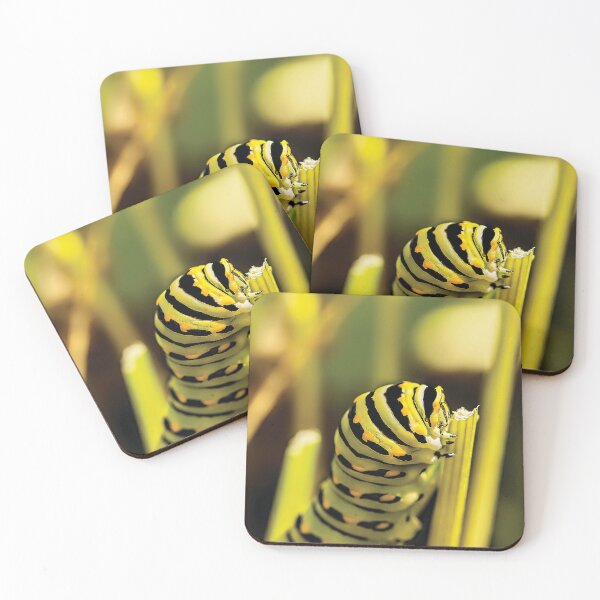 Item preview, Black Swallowtail Butterfly Caterpillar  designed and sold by Kay Brewer.