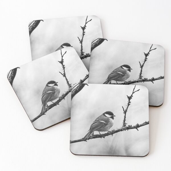 Item preview, Waiting the next summer. Great tit 2025 bw designed and sold by Jouko Lehto Photography.