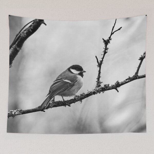 Item preview, Waiting the next summer. Great tit 2025 bw designed and sold by Jouko Lehto Photography.