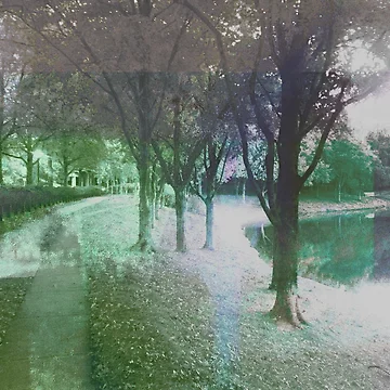 Artwork thumbnail, To Move About Luxuriously by Andy Rhodes Art