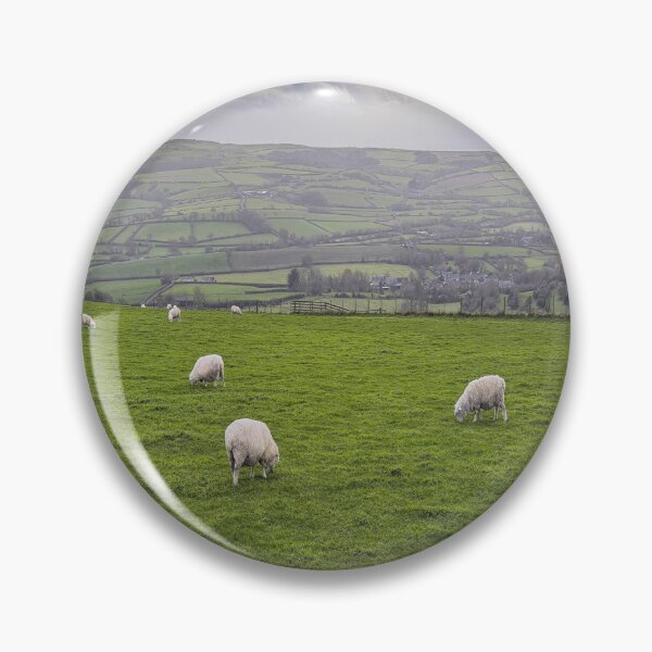 Item preview, Sheep Grazing Dorset England designed and sold by Londonimages.