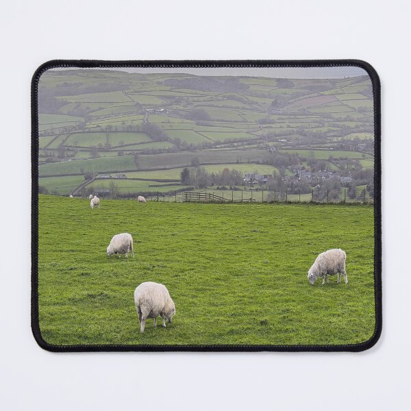 Item preview, Sheep Grazing Dorset England designed and sold by Londonimages.
