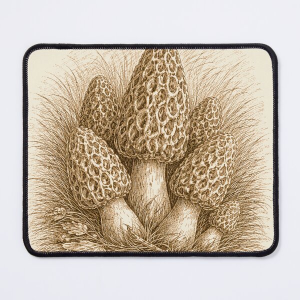 Item preview, Wild Morels designed and sold by KittitasOutpost.