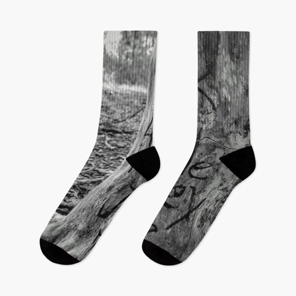 Item preview, Ancient Juniper Trunk at Bald Knob – Lord Huron Inspired, “I Took a Little Journey to the Unknown” designed and sold by The Yawning Grave .
