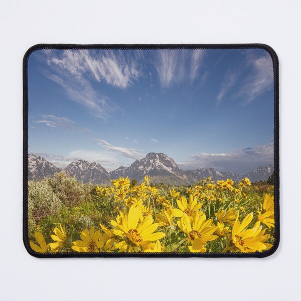 Item preview, Wildflowers in Grand Teton NP Wyoming 2 designed and sold by PhotoArt by Joan Carroll.