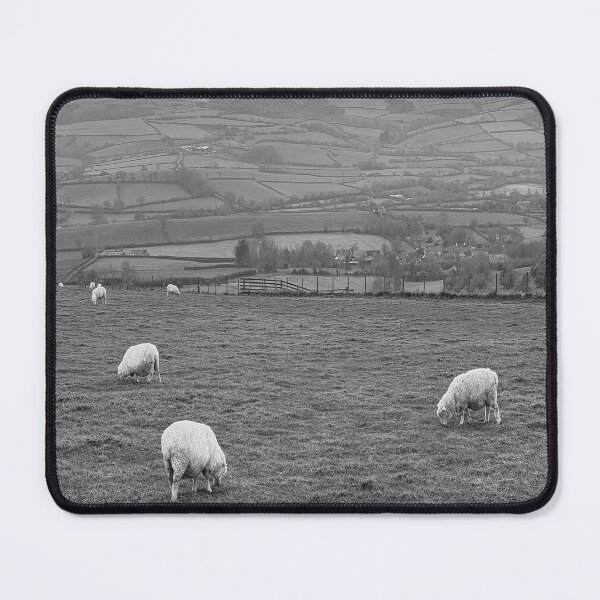Item preview, Grazing Sheep Dorset England designed and sold by Londonimages.