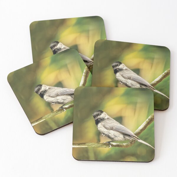 Item preview, You Talking To Me? The Black Capped Chicadee designed and sold by Kay Brewer.