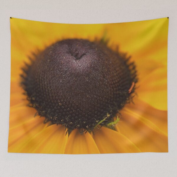 Item preview, Brown center of a rudbeckia flower designed and sold by Production Art Manon Meilleur.