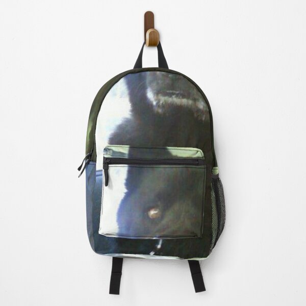 Item preview, Train an Akita, Earn a Warrior – Solid Black Akita Photo designed and sold by The Yawning Grave .