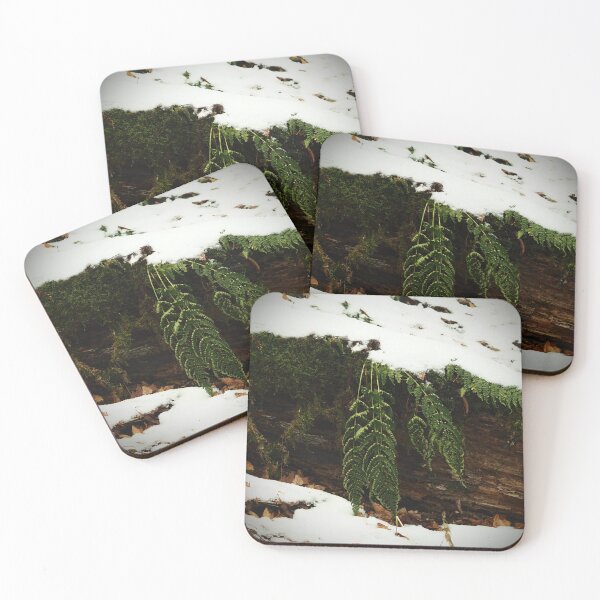 Item preview, Ferns In The Snow designed and sold by GlimpseBeauty11.
