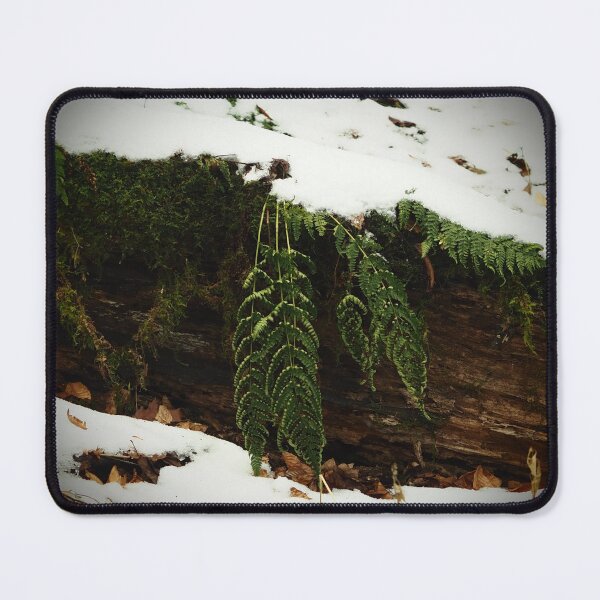 Item preview, Ferns In The Snow designed and sold by GlimpseBeauty11.